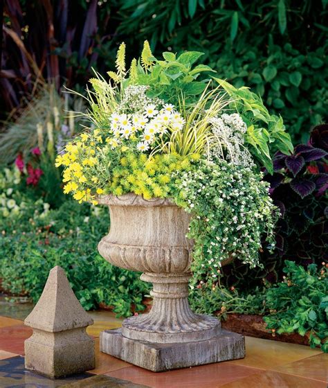 103 Best Container Garden Recipes Images On Pinterest
