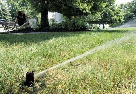 That means you don't have to water your lawn very often during a heat wave. Water company calls for water restrictions during N.J. heat wave - nj.com