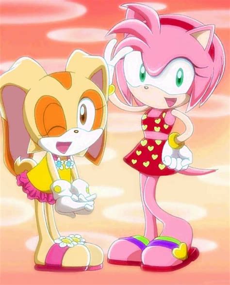Cream And Amy Rose By Sonicboomtoon On Deviantart Amy Rose Cream Sonic Amy The Hedgehog