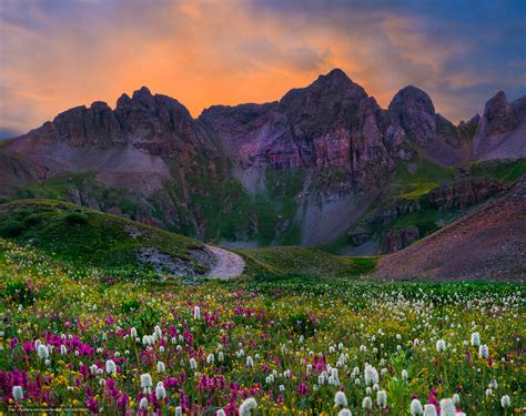 Descargar Gratis Flores Silvestres Salida Del Sol Montañas Rocosas