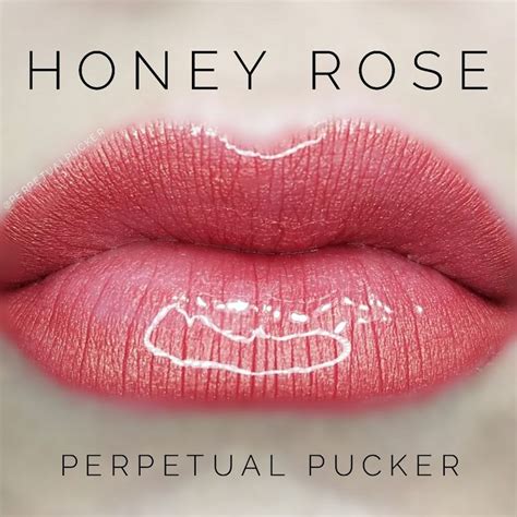 LipSense Distributor 228660 Perpetualpucker Honey Rose Senegence