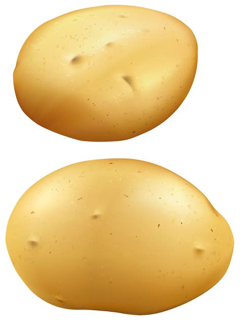 Potato Png Images Free Download Peeled Potato Clipart Images Free
