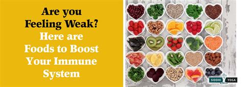Click through to learn which foods actually boost your immune system and prevent cold and flu. FOODS TO BOOST YOUR IMMUNE SYSTEM - APANAX FOODS