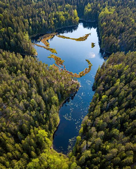 Canadian Forest With L Shaped Lake