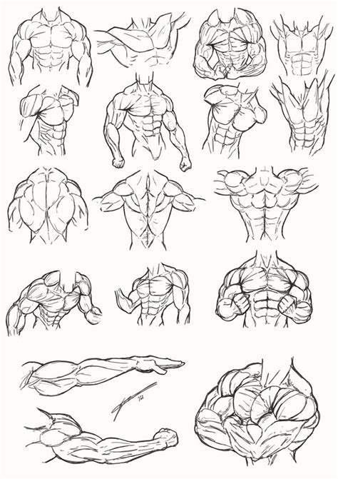 Male Torso Anatomy 2012 By Juggertha On Deviantart Drawings Art