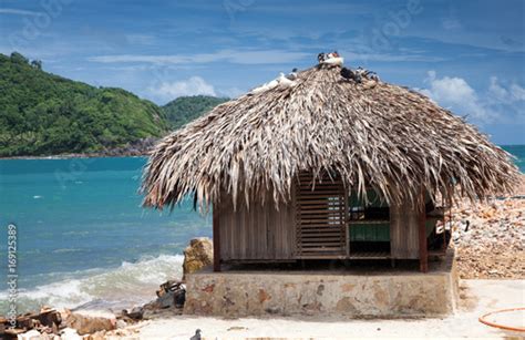 Beach Hut On Tropical Island Stock Photo Adobe Stock