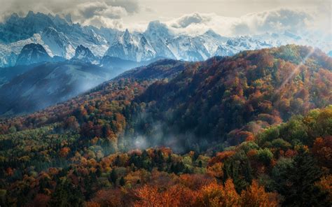 Nature Landscape Mountains Forest Fall Mist Trees Alps Snowy