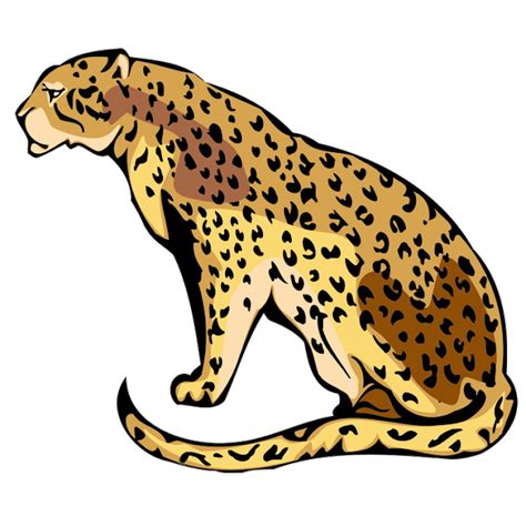 Images of a Cheetah - Leopard/Cheetah Free Png Image | Free png, Png images, Cheetah