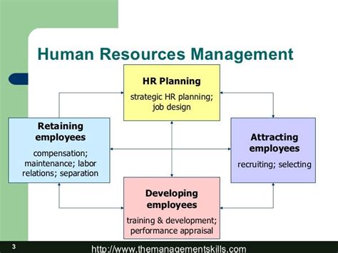 Human Resources Management Processes This Shows The Human Resource