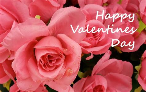 Happy Valentines Day 2017 Wishes, HD Images, Quotes, Songs ...