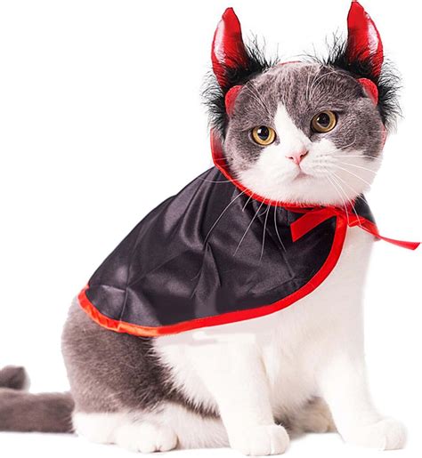 14 Best Halloween Costumes For Your Cat This Year