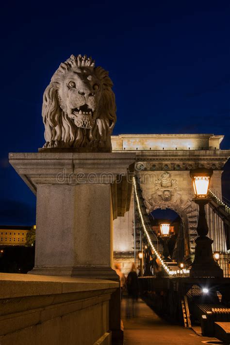 Lion Statue On Chain Bridge Budapest Hungary At Night Stock Photo