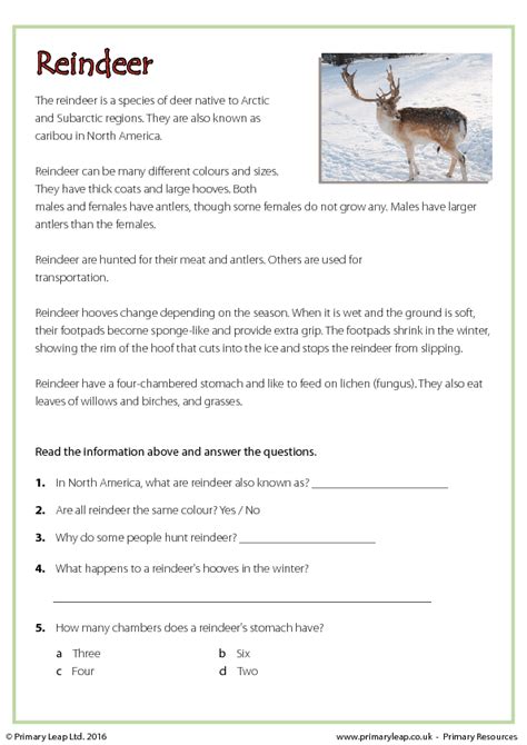 christmas worksheet reindeer reading comprehension