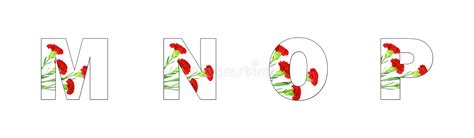 Flower Font Alphabet A Z Made Of Carnation Flowers Stock Illustration