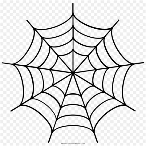 Vector la ragnatela in bianco e nero fondo senza cuciture del modello di ripetizione di halloween. Spider web Drawing - cobwebs png download - 1000*1000 ...