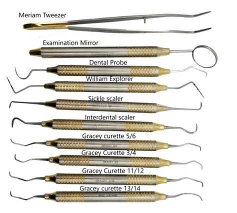 Dental Hygienists Instruments Tool Kit 10 Pcs With Sterilization