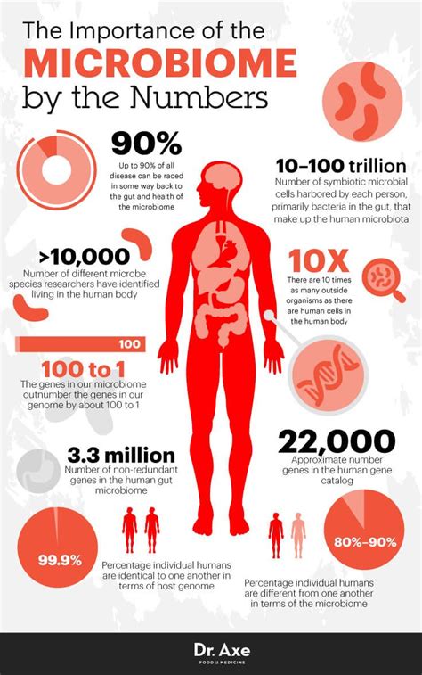 Human Microbiome How It Works A Diet For Gut Health Health Make