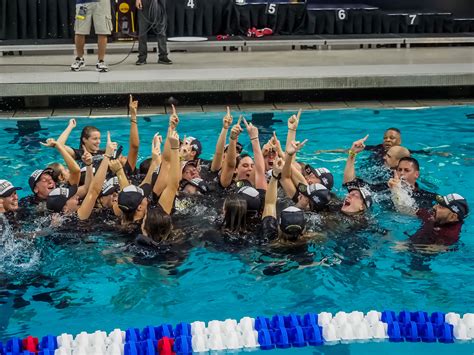 2019 Ncaa Division I Womens Swimming Championships Stanford Wins