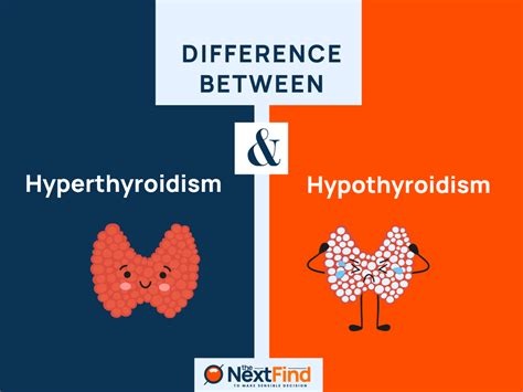 22 Differences Between Hyperthyroidism And Hypothyroidism Explained