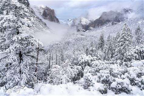 Snowfall Tunnel View Yosemite Eloquent Images By Gary Hart