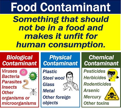 What Is A Food Contaminant Definition And Examples Market Business News