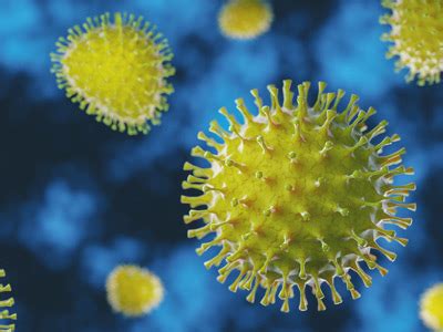 Covid weekly update and local outbreak management plan. COVID-19 Advice - Profilium