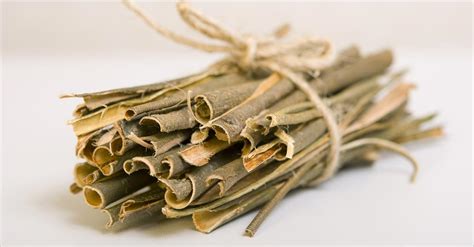 Benefits Of Willow Bark For Hair Care Mirah Belle