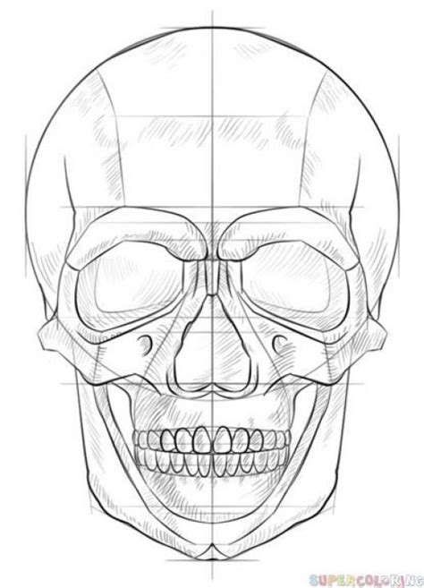 How To Draw A Human Skull Step By Step Drawing Tutorials For Kids And