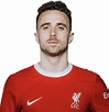 Diogo Jota | Liverpool FC Wiki | Fandom