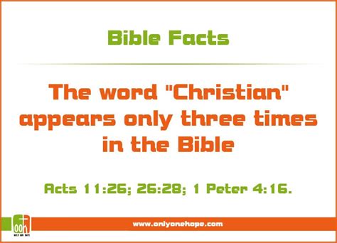 Interesting Facts About The Bible Only One Hope