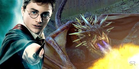 Harry Potter 10 Best Magical Creatures Ranked By Intelligence