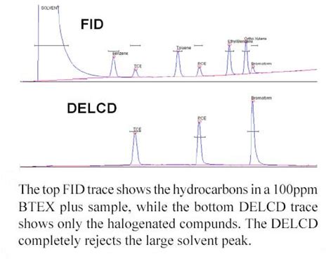 Fiddelcd Combination Fid And Delcd Detector Sri Instruments Europe