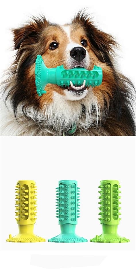 Dog Chew Toys Dog Toothbrush Online Boutique Dog