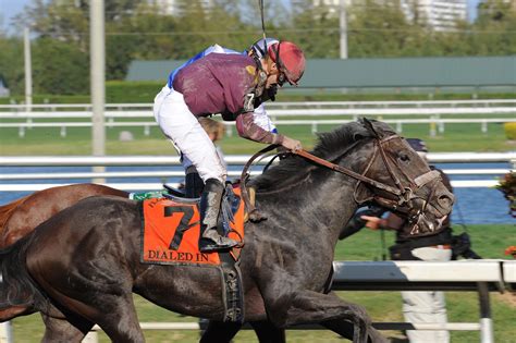 Betting Totals Continue To Decline In Thoroughbred Racing The