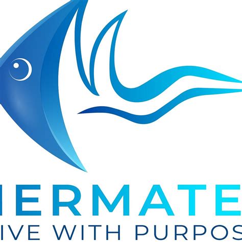 Mermates Diving Club Jeddah Saudi Arabia Address Phone Number Tripadvisor