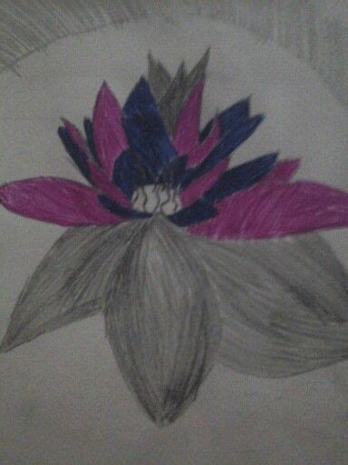 Water Lily Painting Water Lily Lily