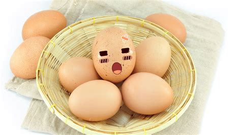 Pourquoi mettre tous ses œufs dans le même panier de formation est risqué et comment y remédier