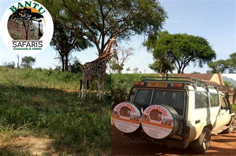 Bantu Safaris Kampala Uganda Address Phone Number Tripadvisor