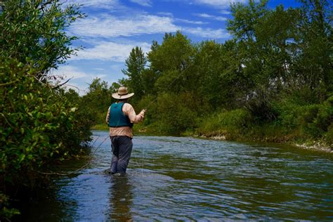 Bow River Fly-Fishing Guides | Dave Brown Outfitters - Fly-Fishing & Wingshooting Adventures
