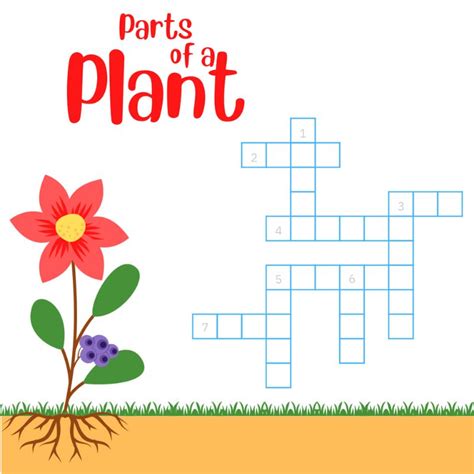 Parts Of A Plant Crossword Puzzle