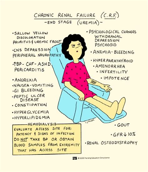 Chronic Renal Failure End Stage Nursing Study Guide Nursing Student