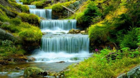 Hd Wallpaper River With Cascading Waterfall Water Stones Green Grass