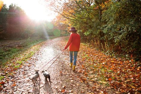 6 Of The Best Autumn Walks In The Uk Woman And Home