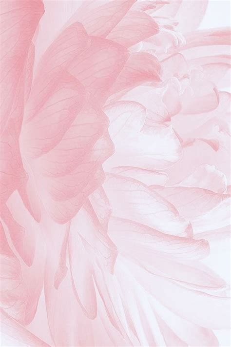 Pin By Judy 🌸 Aviles On Soft Pink Pink Wallpaper