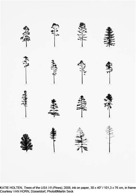 Minimalist Simple Pine Tree Drawing Marianafelcman