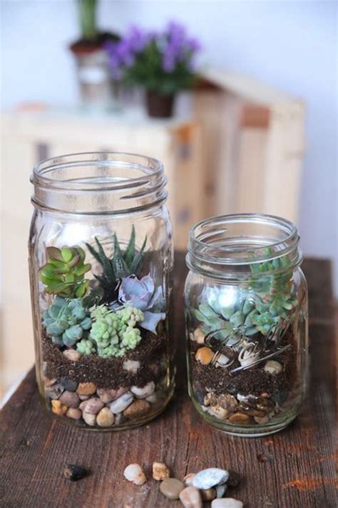 38 Indoor Succulent Display Ideas To Beautify Your Home Homemydesign