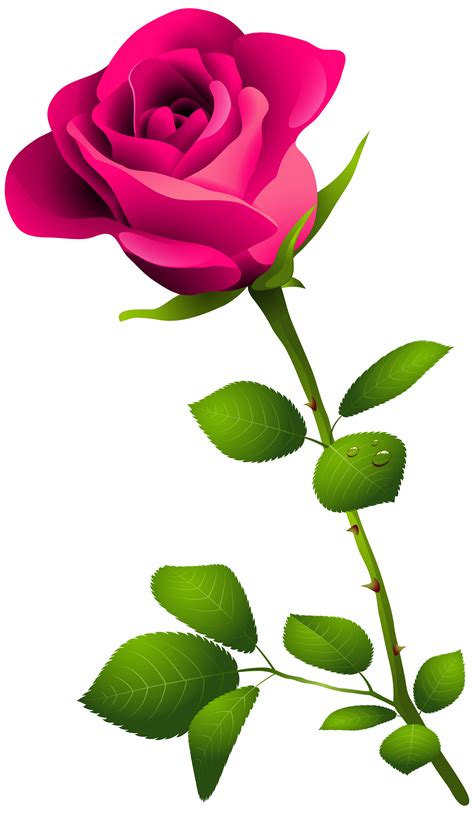 Maybe you would like to learn more about one of these? Rose With Stem - ClipArt Best