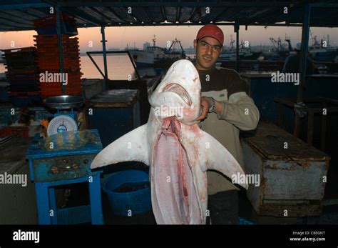 Tripoli Libya Fish Market Stock Photo Alamy