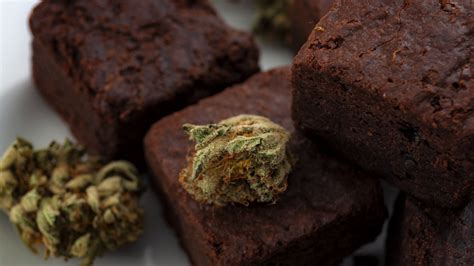 15 Things You Need To Know About Cannabis Infused Food