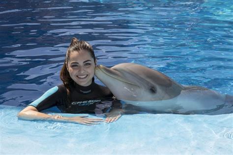 ¿qué Se Siente Al Vivir Una Experiencia Con Delfines Mundomar